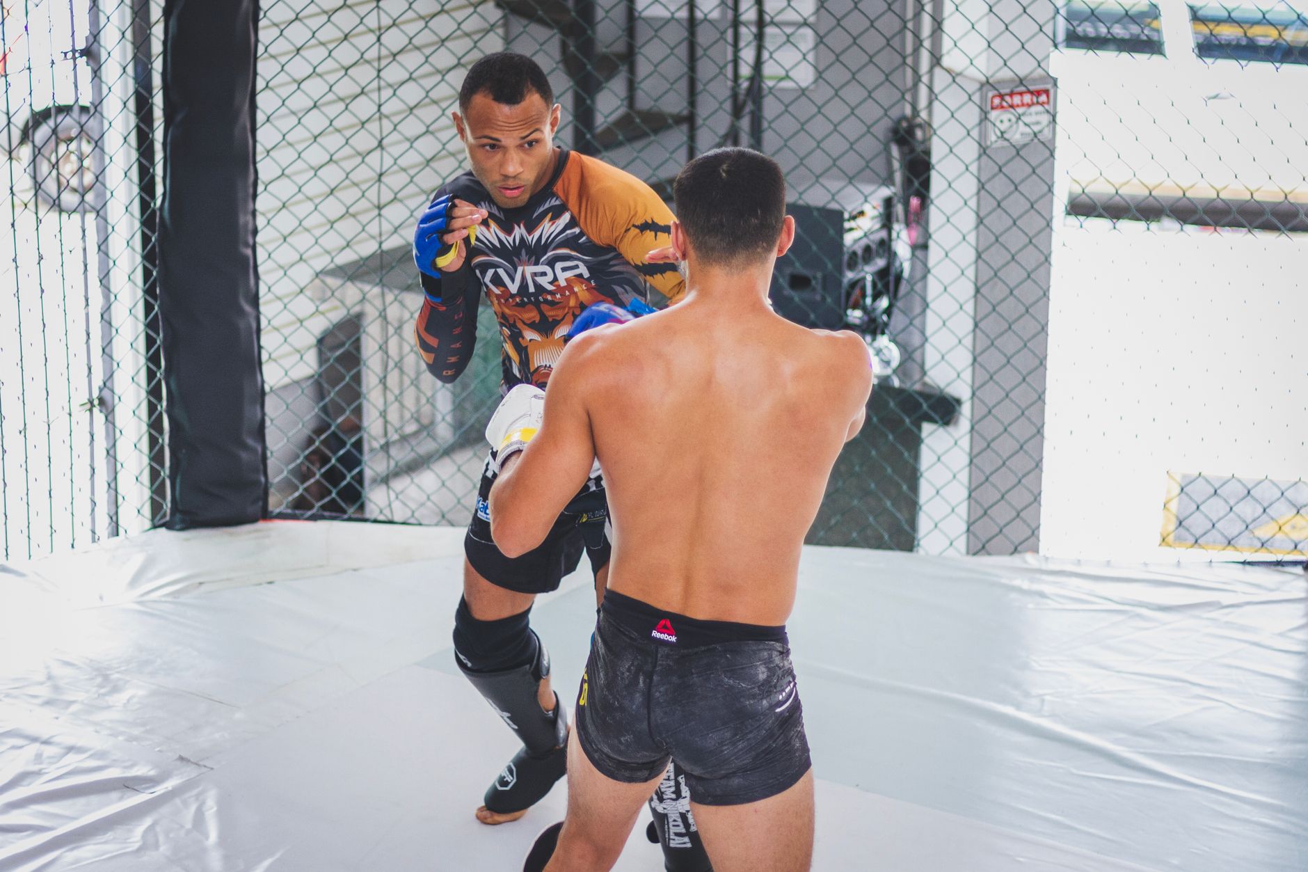 Corte de peso en MMA