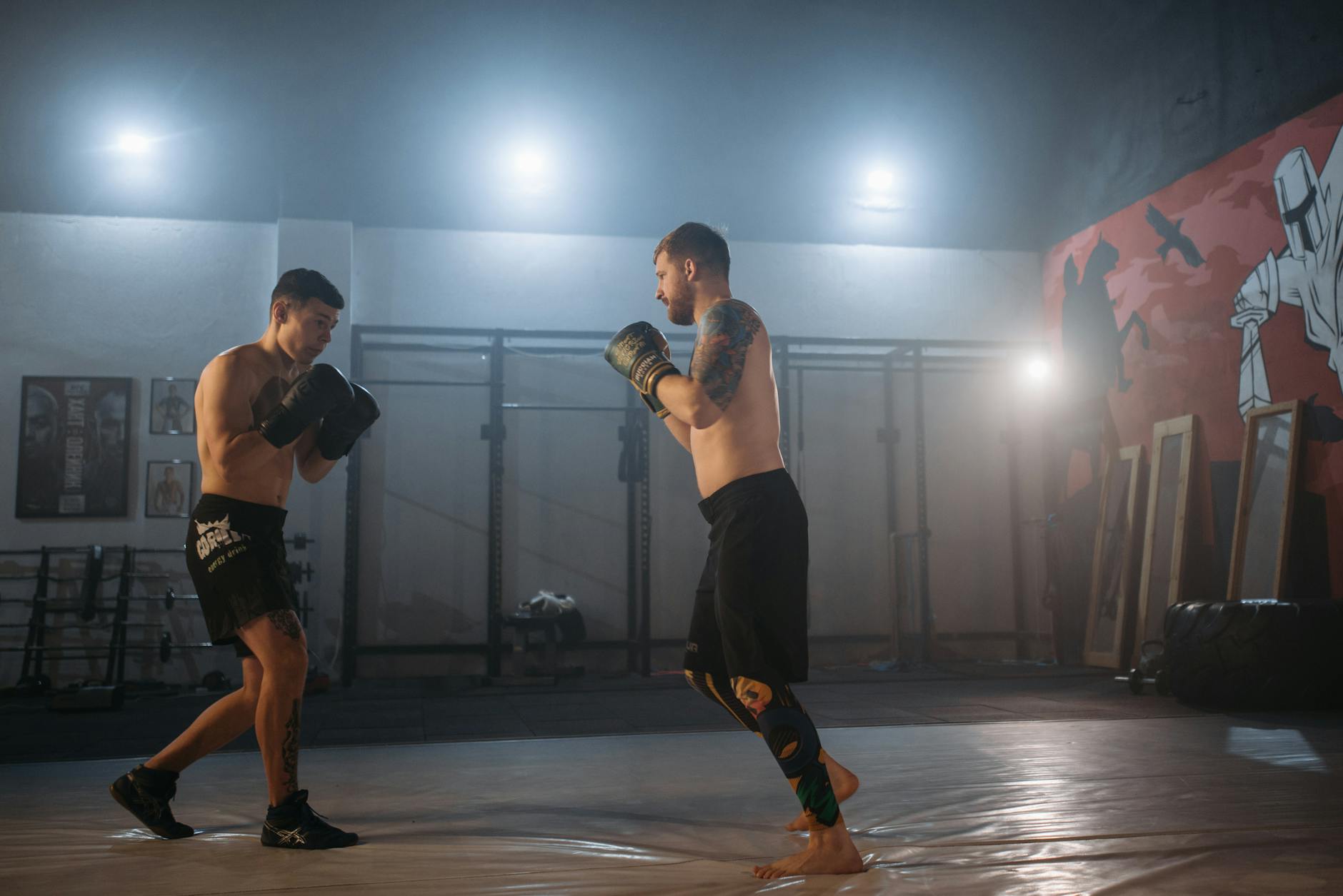 Los Mejores Protectores Bucales para Boxeo y MMA 2026