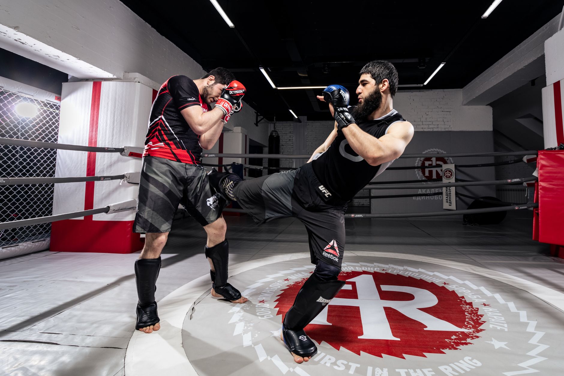 Guía completa de shorts MMA para entrenar en 2026