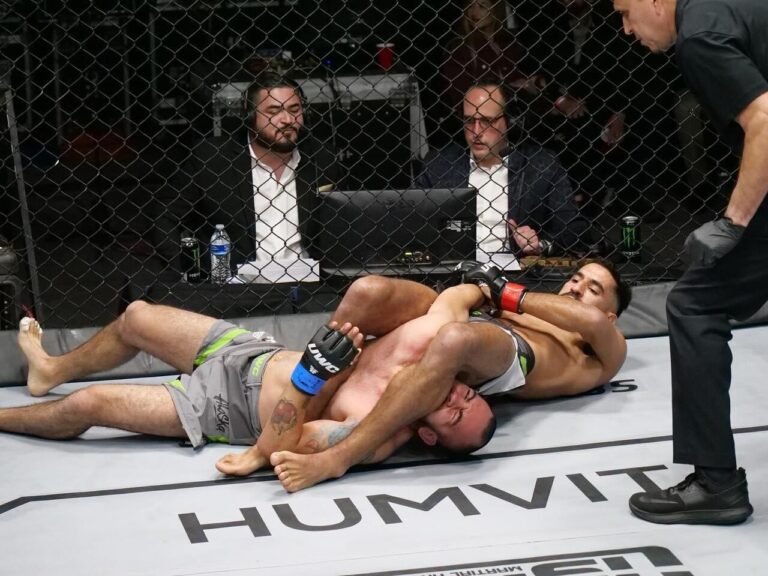 Cómo Está Cambiando el MMA en España
